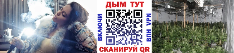 Наркотические вещества Коркино ГАШ  Alpha PVP  Меф мяу мяу  OMG зеркало  Конопля  Галлюциногенные грибы 
