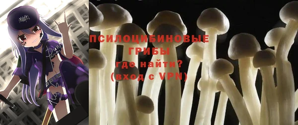 гашик Богородицк