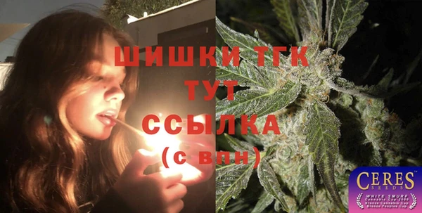 гашик Богородицк