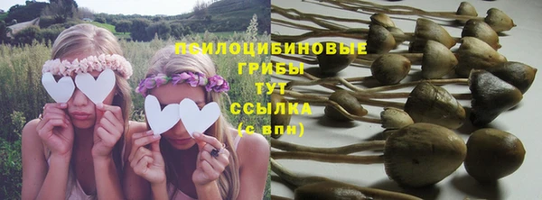 спайс Богородск